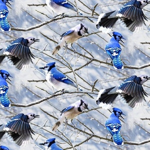 Hoffman Call of the Wild Winter Snow Bluejay Cotton Quilt Fabric V5214H-262