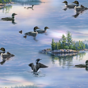 May include: A scenic lake scene with multiple loon birds swimming in the water. The loons are black and white with long necks and beaks. The lake is a light blue color and the sky is a light blue color with white clouds.