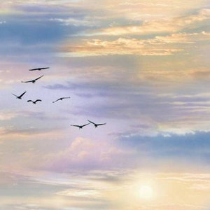 Elizabeth Studio Landscape Medley Sky Clouds and Birds Sunrise Sunset Cotton Quilt Fabric