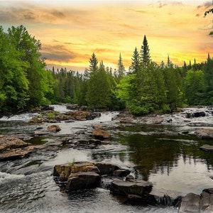 Hoffman Call of the Wild Summer Earth, Forest, and Stream River Cotton Quilt Panel 32 1/2" x 43"