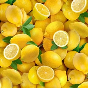 Elizabeth Studio Food Festival Yellow Lemon Cotton Quilt Fabric