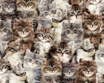 以下が含まれることがあります： 様々な毛色と模様の愛らしい子猫のグループのクローズアップ画像。子猫たちは皆、好奇心旺盛な表情でカメラを見ている。