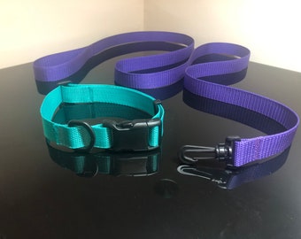 Tsa approved dog leash Clearance