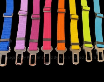 Guinzaglio con cintura di sicurezza per animali domestici