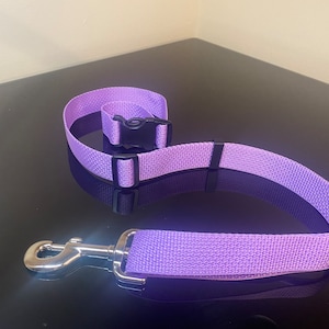 Adjustable buckle leash (wheelchair friendly)
