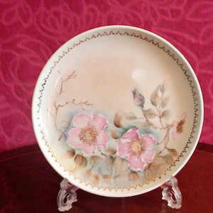 Vintage Schönwald Germany Porcelain Hand Painted Plate