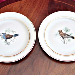 Vintage 2 French Porcelain Plates with Birds