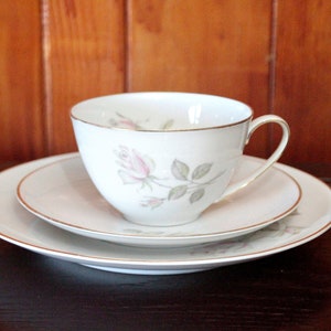 Vintage German Hutschenreuther Hohenberg Porcelain Tea Trio Set Ŗose Garden&#39;