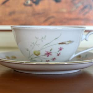 Vintage German Hutschenreuther Arzberg Bavaria Cup and Saucer