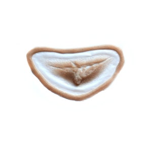 Silicone Prosthetic Wound