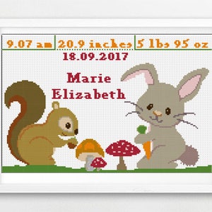 Könnte beinhalten: Kreuzstich-Kunstwerk in einem weißen Rahmen mit einem Eichhörnchen und einem Kaninchen. Das Kunstwerk enthält die Geburtsdaten des Babys: 53 cm, 2,27 kg, und den Namen Marie Elizabeth. Der Hintergrund ist weiß.