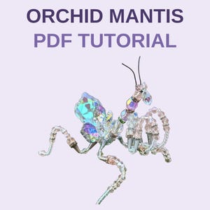 Peut inclure: Une sculpture de mante orchidée perlée fabriquée à partir de perles irisées, transparentes et rose clair avec un grand élément d'aile en cristal facetté. Le texte ORCHID MANTIS PDF TUTORIAL est affiché en lettres violet foncé au-dessus.