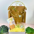 Fairy Garden Suncatcher DIY Kit - Create Your Own Magical Sun Catcher for Home Decor product logo