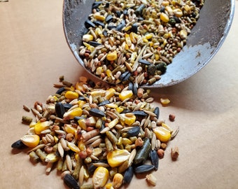 May include: A close-up shot of a mix of birdseed spilling from a metal scoop onto a brown surface. The seed mix includes yellow corn kernels, black sunflower seeds, and various other grains and seeds. The image is well-lit, highlighting the textures and colors of the seeds.