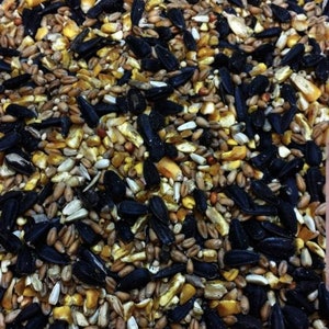 May include: A close-up of a mixture of birdseed, including black sunflower seeds, yellow corn kernels, and other small seeds.