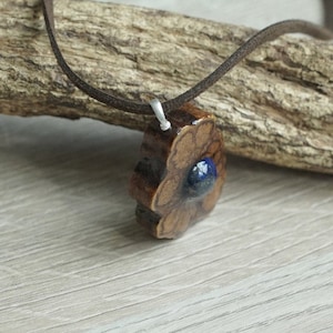 Può includere: Un ciondolo a forma di fiore in legno marrone con un centro in vetro blu, appeso a un cordino in pelle marrone.