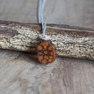 Può includere: Un ciondolo in legno marrone con un motivo geometrico appeso a una catena d'argento. Il ciondolo è appoggiato su un pezzo di legno di deriva.