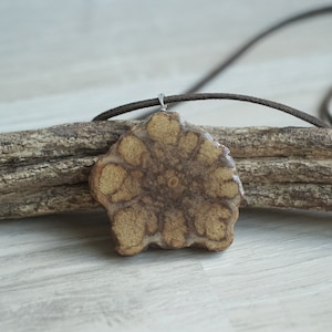 Luce Banisteriopsis Caapi vite di collana Ayahuasca