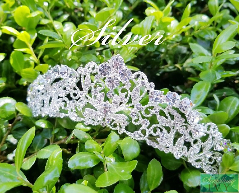 Puede incluir: Una tiara plateada con detalles de cristal transparente y un dise&ntilde;o floral ornamentado. La palabra "Silver" est&aacute; escrita en cursiva en la parte superior de la imagen. La tiara se encuentra sobre un fondo de follaje verde.