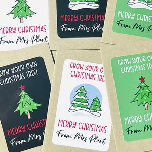 Christmas gifts for class, Personalised school gifts from teachers, End of term gift, seed packets, grow your own Xmas tree, Eco gift