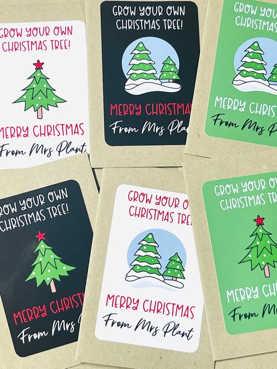 Christmas Gifts for Class Personalised School Gifts From - Etsy UK