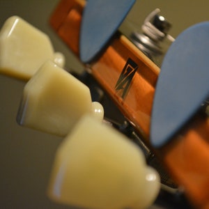 May include: Close-up of the headstock of a guitar with three white tuning pegs and two blue guitar picks. The headstock is made of wood and has a black "ZA" logo.