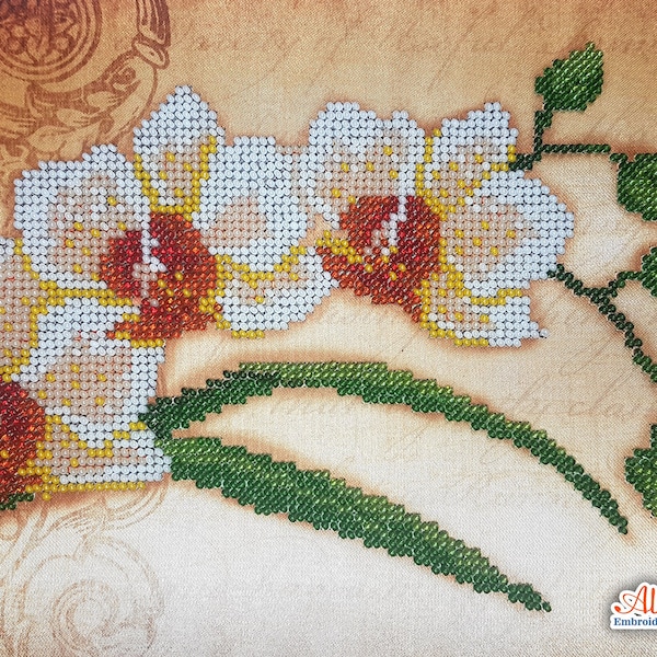 Kit de broderie de perles d'orchidées Floral DIY 3D kit de broderie tapisserie artisanale Perle de nez blanc motif rocailles au point de croix