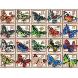 May include: A collection of twenty embroidered butterfly designs, each framed and numbered. The butterflies display a variety of colors, including orange, blue, green, and yellow, with intricate patterns. The image is a close-up of the butterfly collection.