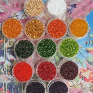 May include: Twelve small containers of seed beads in various colors, including white, gold, orange, green, red, and black. The containers are arranged in a circle on a floral patterned surface.