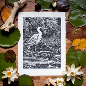 Könnte beinhalten: Schwarz-Weiß-Kunstdruck eines Reihers in einem Sumpfgebiet. Der Druck zeigt detaillierte Linien, die den Vogel, das Wasser und die umliegende Vegetation darstellen. Der Druck befindet sich auf weißem Papier und ist von Seerosen und Blumen umgeben.