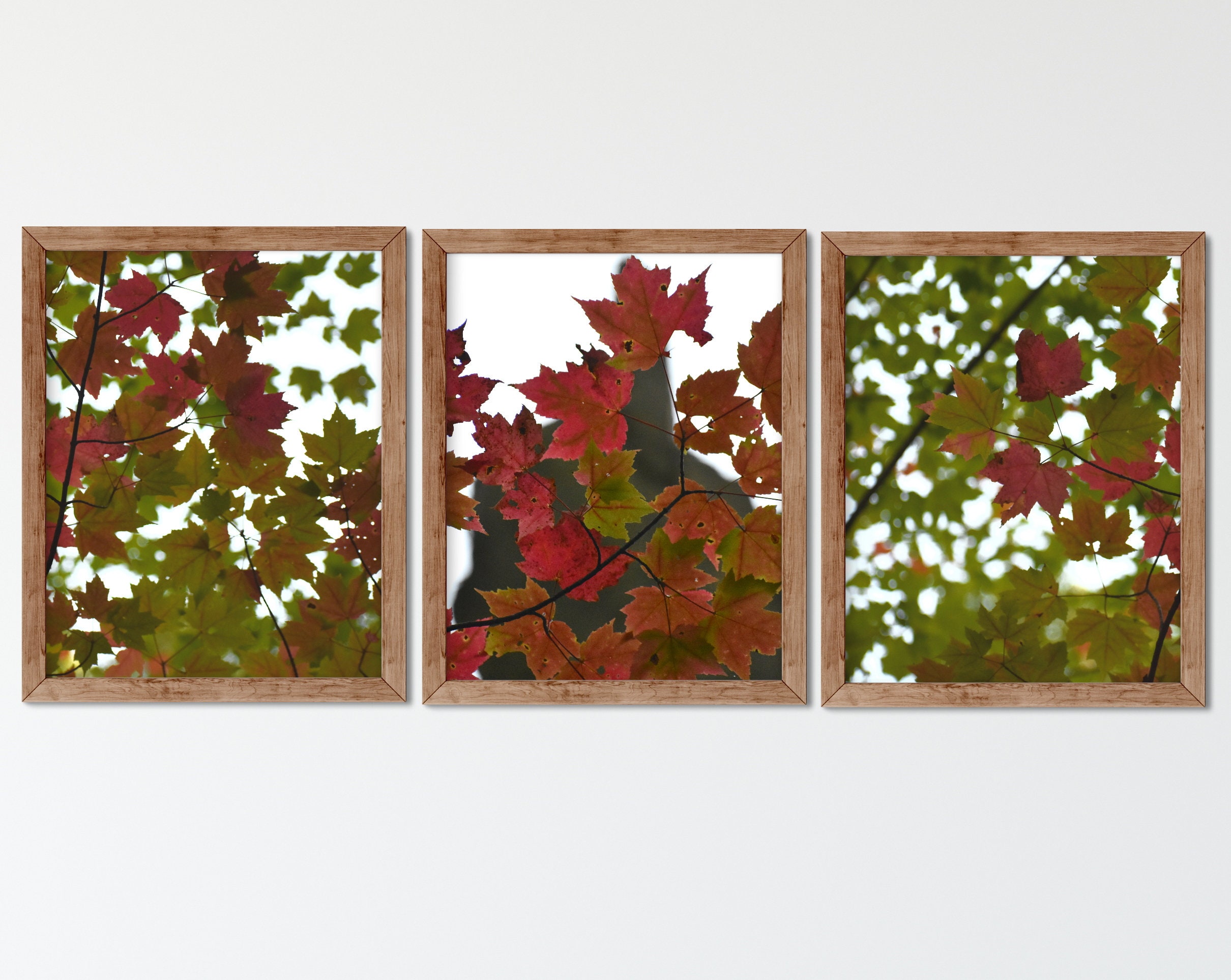 Home Decor Home & Living Wall Hangings Set of 3 Nature Landscape ...