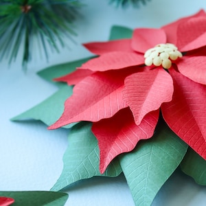 Poinsettia papieren bloem SVG-bestand voor Cricut & silhouet