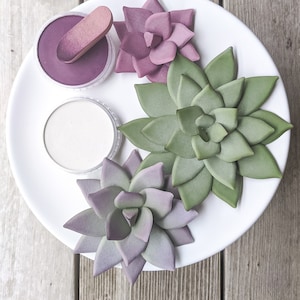 Succulente a punta in 3 dimensioni File digitale SVG PDF per Cricut e Silhouette, include il permesso per piccole aziende per vendere fiori finiti