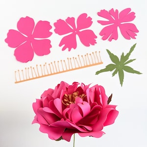 Shrub Rose e Fluffy Peony Paper Flower Combo / SVG PDF Files per Cricut & Silhouette