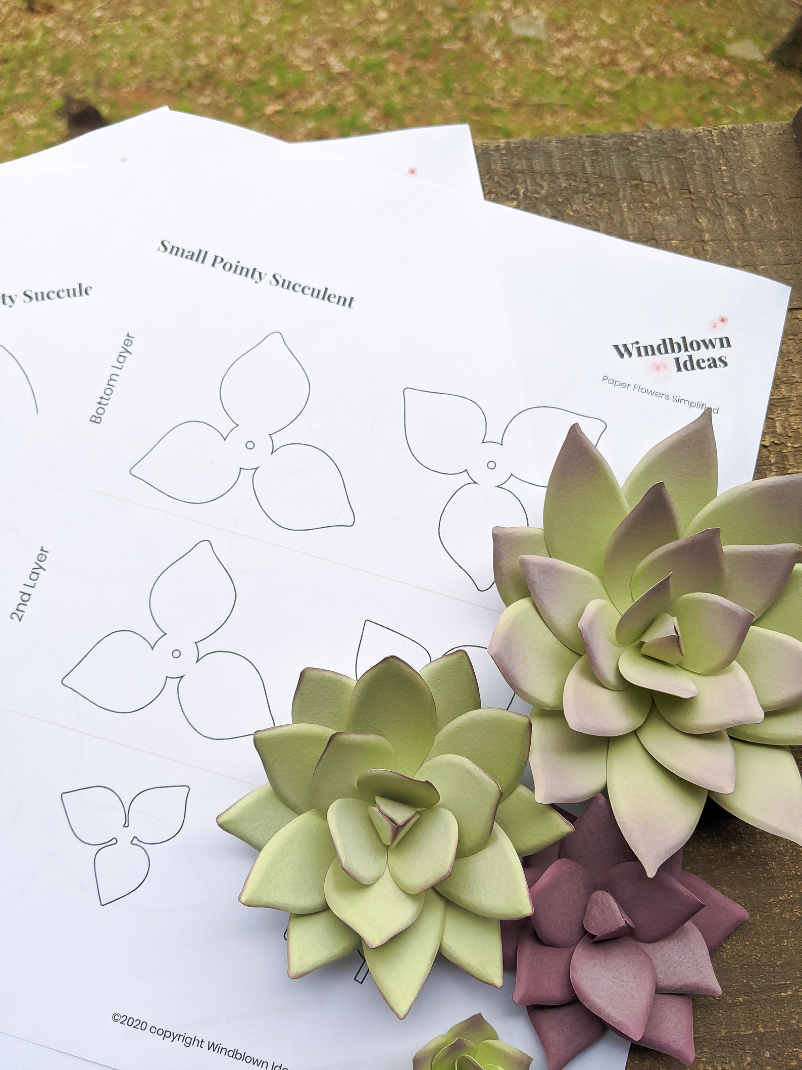 Pointy Succulent in 3 Sizes SVG PDF Digital File for Cricut & Etsy