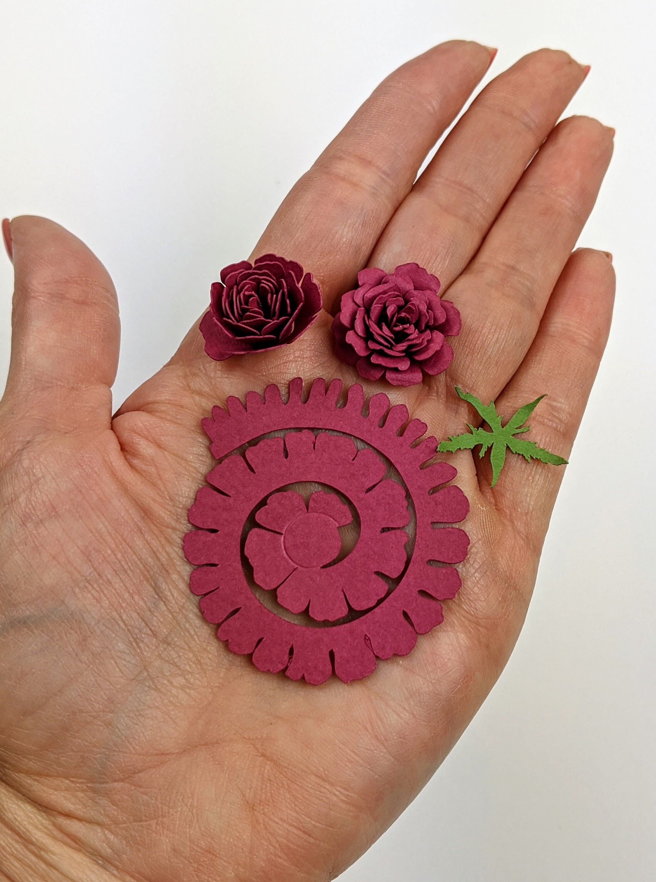 Rolled Rose SVG Digital File for Cricut & Silhouette Incluye Etsy