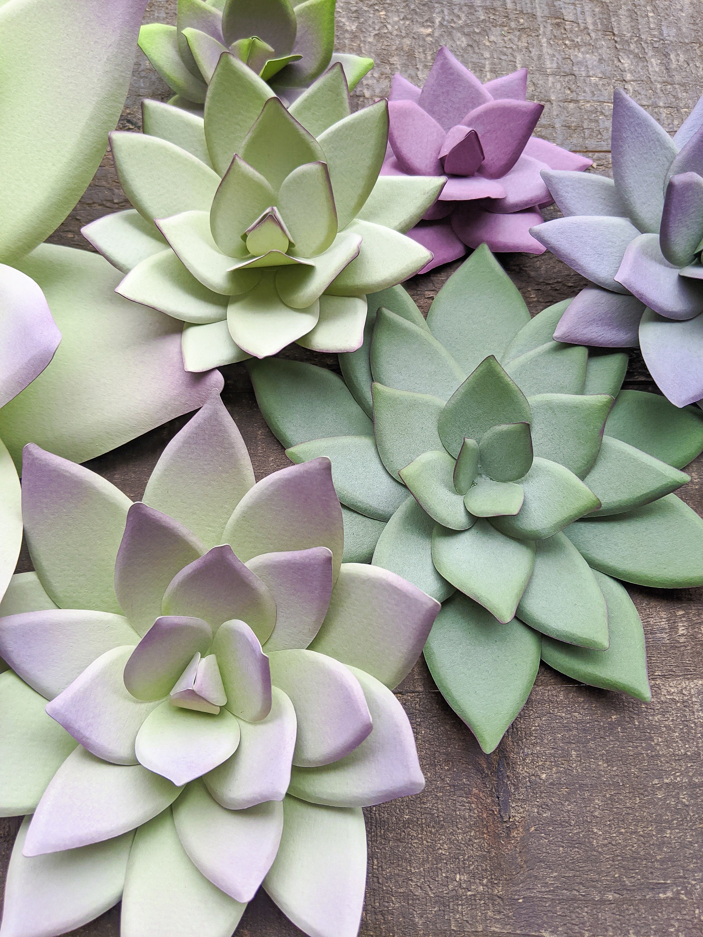 Pointy Succulent in 3 Sizes SVG PDF Digital File for Cricut & Etsy