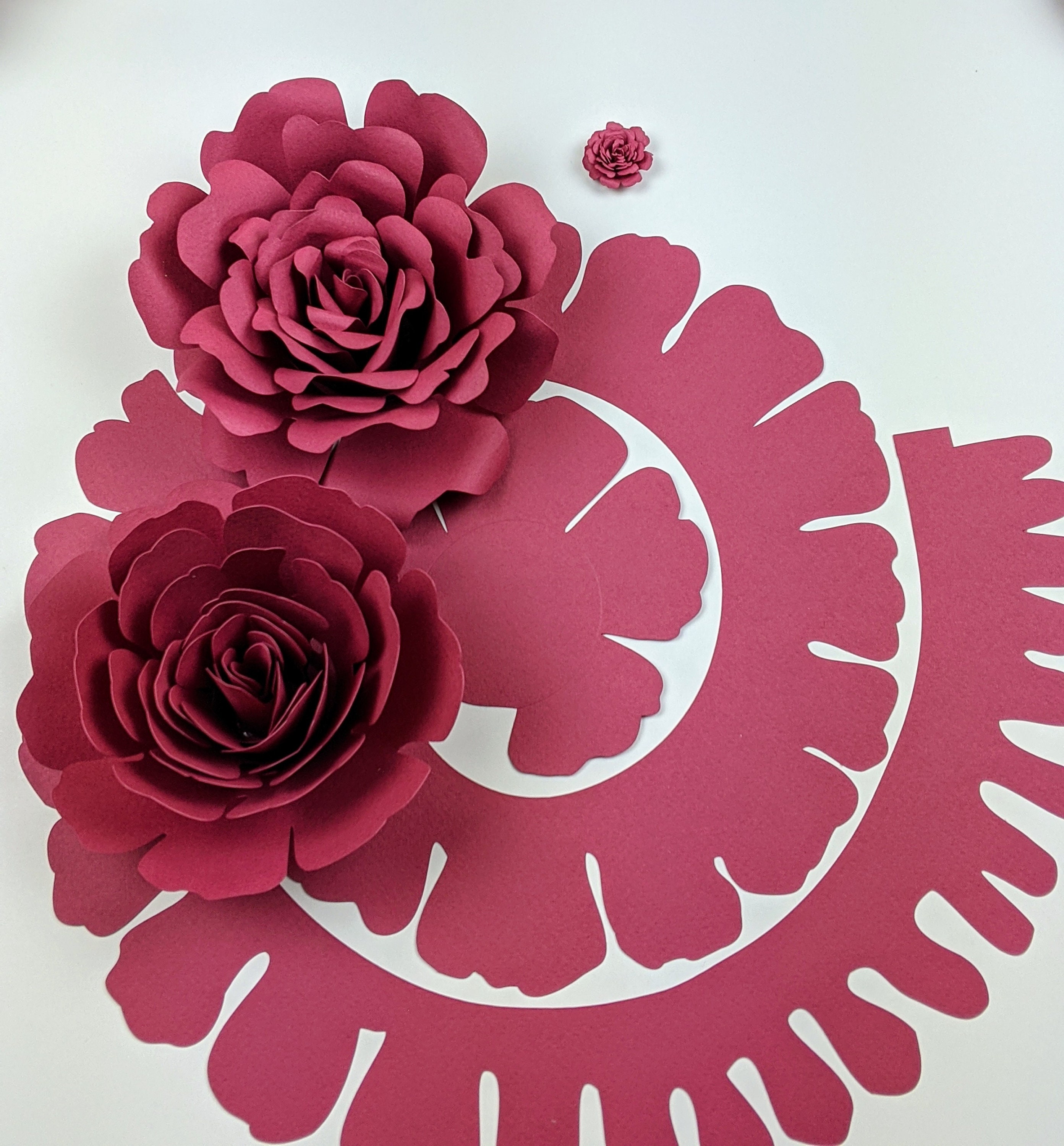 D Rolled Paper Rose Svg Cut File For Cricut Instructions | Hot Sex Picture