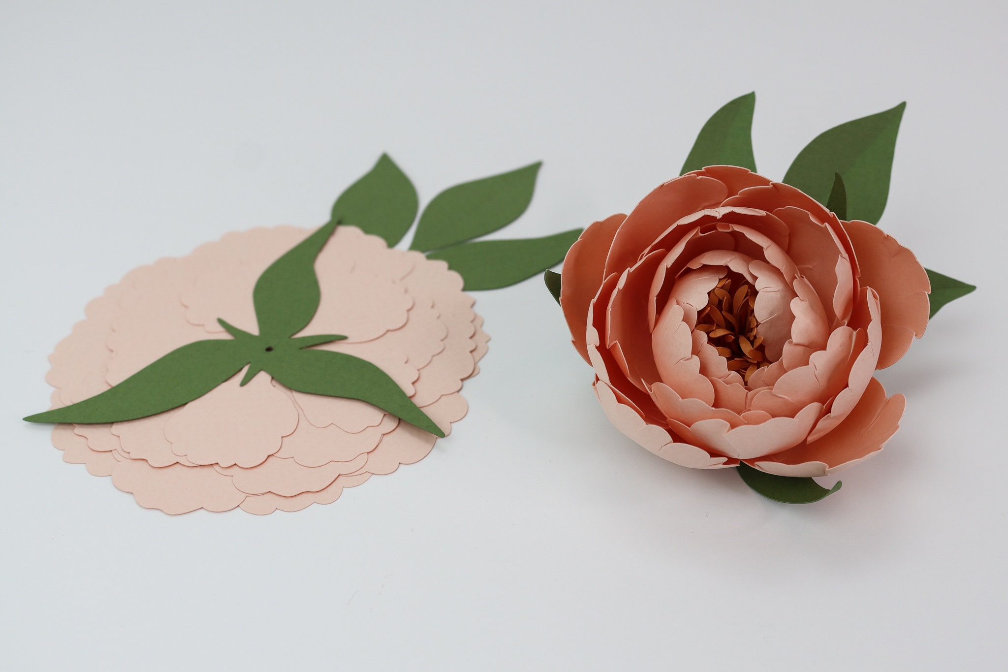 Deluxe Paper Flower Tool Kit With 3 Paper Flower Kits Peony Etsy