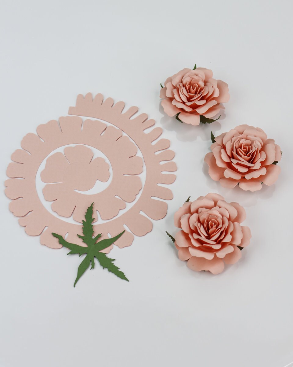 Rolled Rose Paper Flower SVG Digital File for Cricut & Etsy Australia