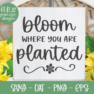Floresça onde você estiver plantado - Arquivo de corte digital de primavera - svg, dxf, png e eps
