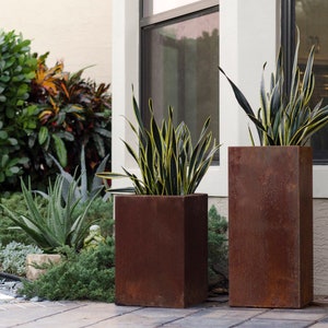 May include: Two tall, rectangular, rusty brown planters with green and yellow striped plants inside. The planters are sitting on a patio with a stone walkway.