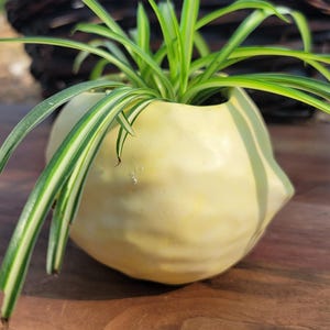 Lemon ceramic planter