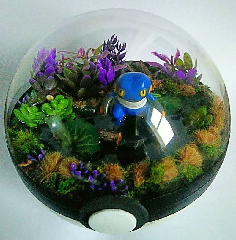 POKÉMON TERRARIUM Gen 4 Custom Pokemon Gift / Decor / Etsy
