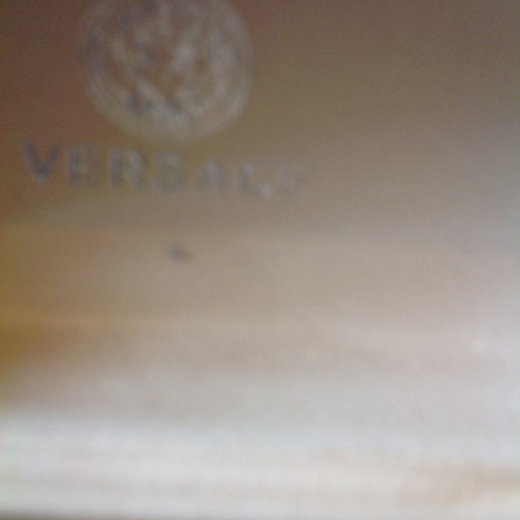 Vintage versace medusa rare sunglasses - image 1