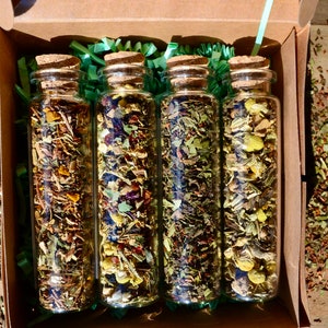 Revitalizing Self Care Sampler Set . Herbal Tea Sampler . Gift Set . Pain Away / ImmuniTea / Allergy Aid / Bellyache Be Gone image 1