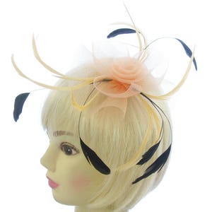 Peach mesh and black feather fascinator clip, weddings, races, ladies day image 1