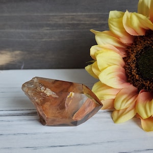 Angel Phantom Quartz: Amphibole, 46g