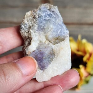 May include: A rough-cut, natural gemstone with a mix of colors. The stone features a central area of deep purple, surrounded by a light blue and white matrix. The stone is held in a hand, with a blurred wooden background.