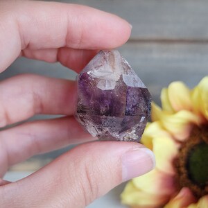 BRANDBERG AMETHYST SKELETAL 30g